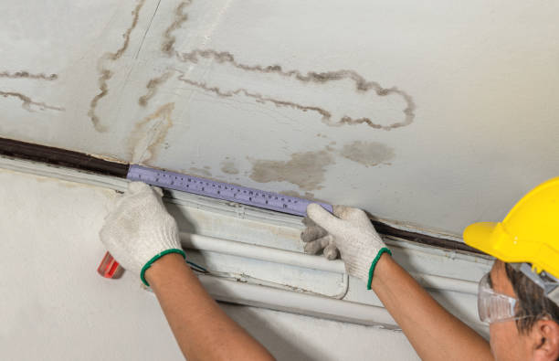 Affordable Water Damage Repair solutions in Rhoadesville, VA